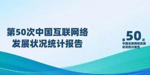 中國互聯網絡發展狀況統計報告