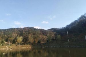 七沖國家級(jí)自然保護(hù)區(qū)