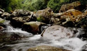 七沖國家級(jí)自然保護(hù)區(qū)