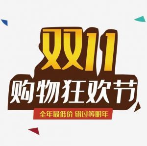 雙十一網(wǎng)購(gòu)狂歡節(jié)