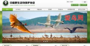 中國野生動物保護協(xié)會