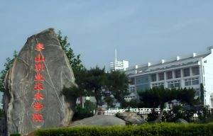 泰山職業(yè)技術(shù)學(xué)院 泰山職業(yè)技術(shù)學(xué)院