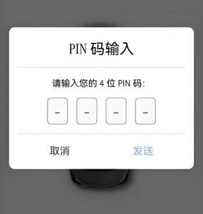 PIN個人身份識別碼 PIN個人身份識別碼