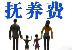 社會撫養費