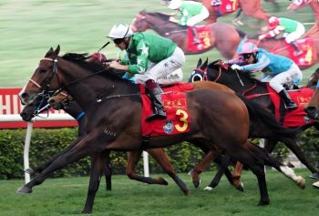 2025農(nóng)歷新年賽馬日