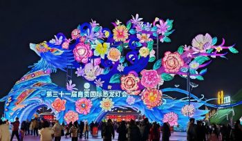 第三十一屆自貢國際恐龍燈會